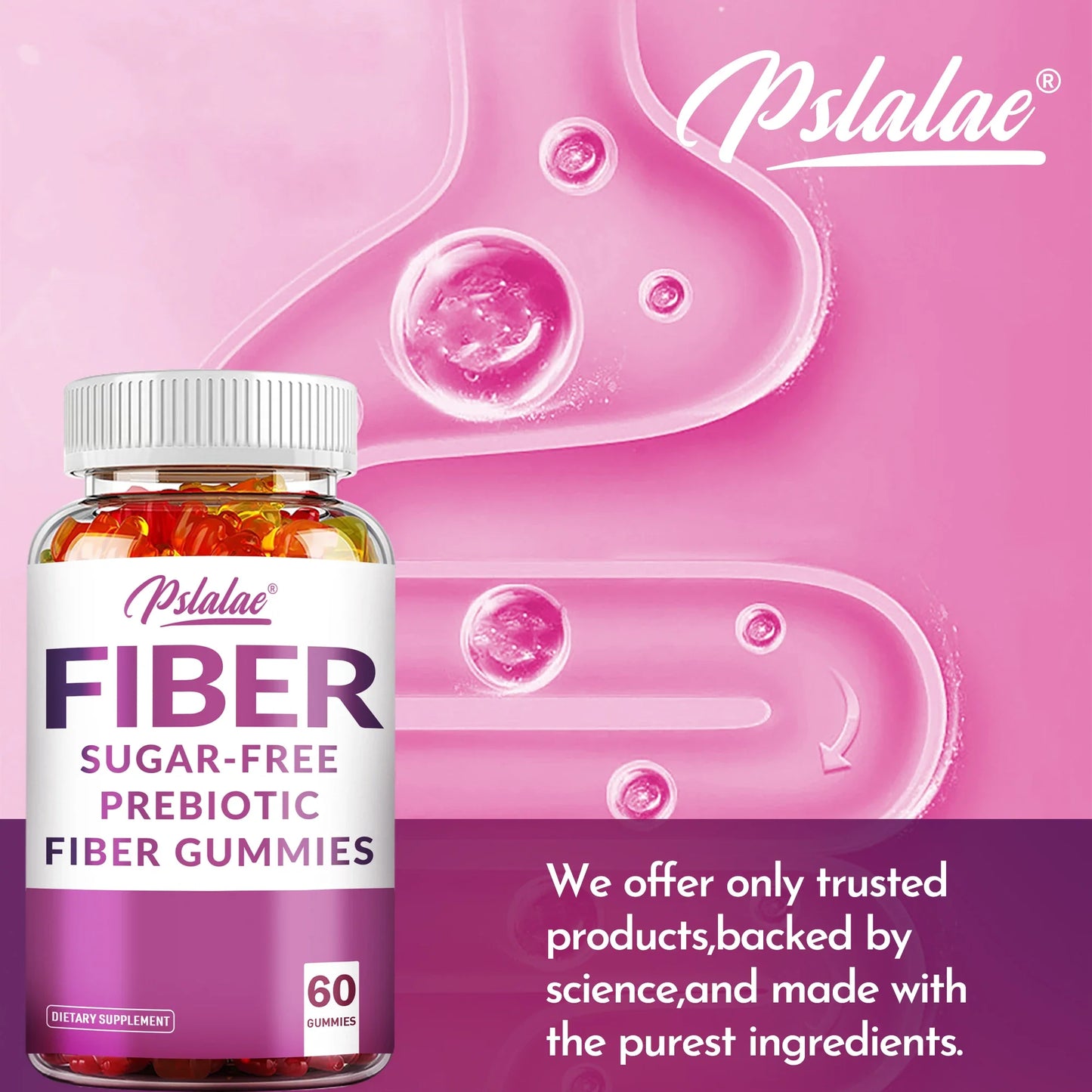 Sugar-Free Prebiotic Fiber Gummies - with Chicory Roots - Promotes Digestive and Intestinal Health - 60 Gummies