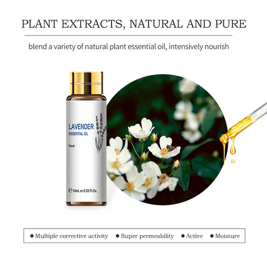 16 PCS Essential Oils Set,  Pure Lavender, Eucalyptus, Vanilla, Jasmine, Mint, Rose Oil for Diffuser, Humidifier, Candles